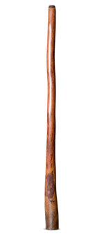 Tristan O'Meara Didgeridoo (TM443)